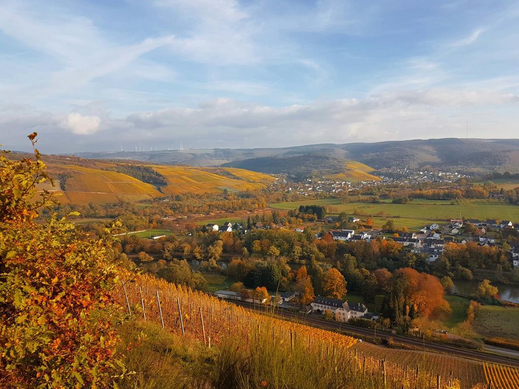 Haus Sonnenschein Apartment Wiltingen ภายนอก รูปภาพ